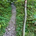 Črna prst - Na poti
