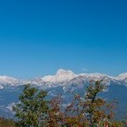 Na Planini za Liscem pod Črno prstjo