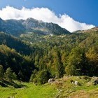 Na Planini za Liscem pod Črno prstjo