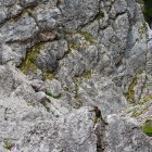 Between rocky boulders