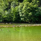 Kolpa river