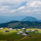 Velika planina