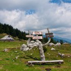 Stovniške bajte pri Veliki planini