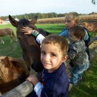 Firbas tourist farm, Slovenske Gorice