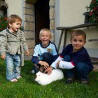Firbas tourist farm, Slovenske Gorice