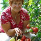 Firbas tourist farm, Slovenske Gorice