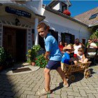 Firbas tourist farm, Slovenske Gorice