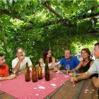 Firbas tourist farm, Slovenske Gorice