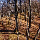 The ridge towards Javorjev Vrh