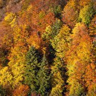 Autumn colors