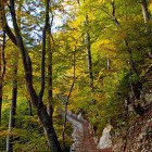 Lower part of the descent from St. Jakob