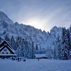 Tek na smučeh: Planica - Tamar