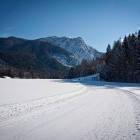 Tek na smučeh: Rateče