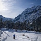 Tek na smučeh: Planica - Tamar