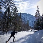 Tek na smučeh: Planica - Tamar