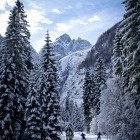 Tek na smučeh: Planica - Tamar