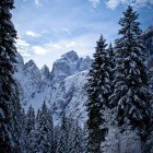 Tek na smučeh: Planica - Tamar