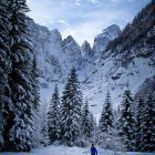 Tek na smučeh: Planica - Tamar