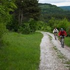 Uphill from Podpeč towards Črnotiče